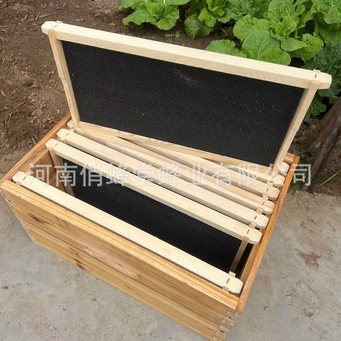 Beehive Frame Wax - Alat Peternakan Lebah Kelas Satu, Alas
