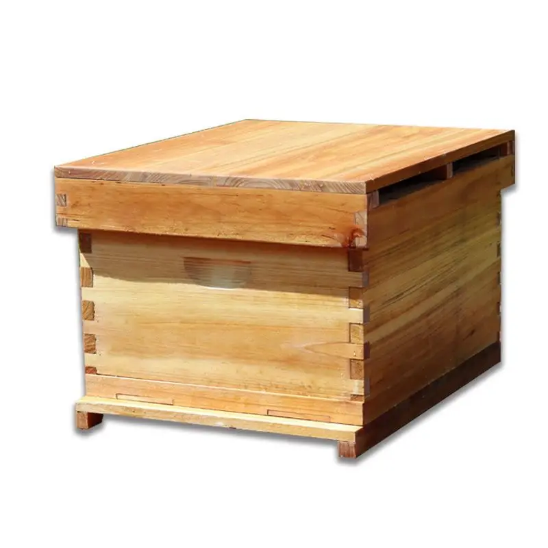 Beehive Frame Wax - Sarang Lebah Madu dari Lilin yang