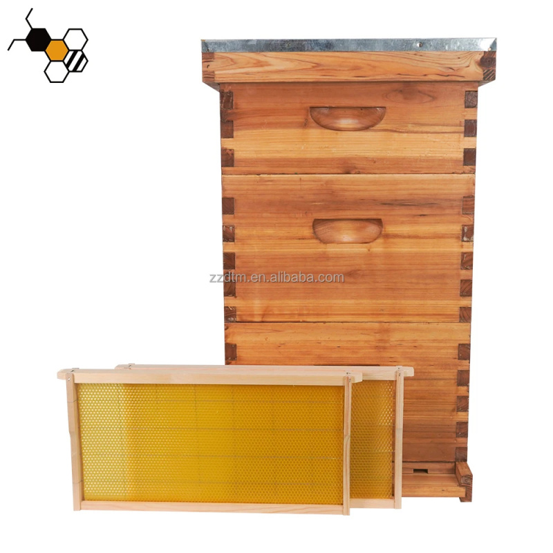 Kit Sarang Lebah Berkualitas T - Beehive Frame Wax ulasan dan harga