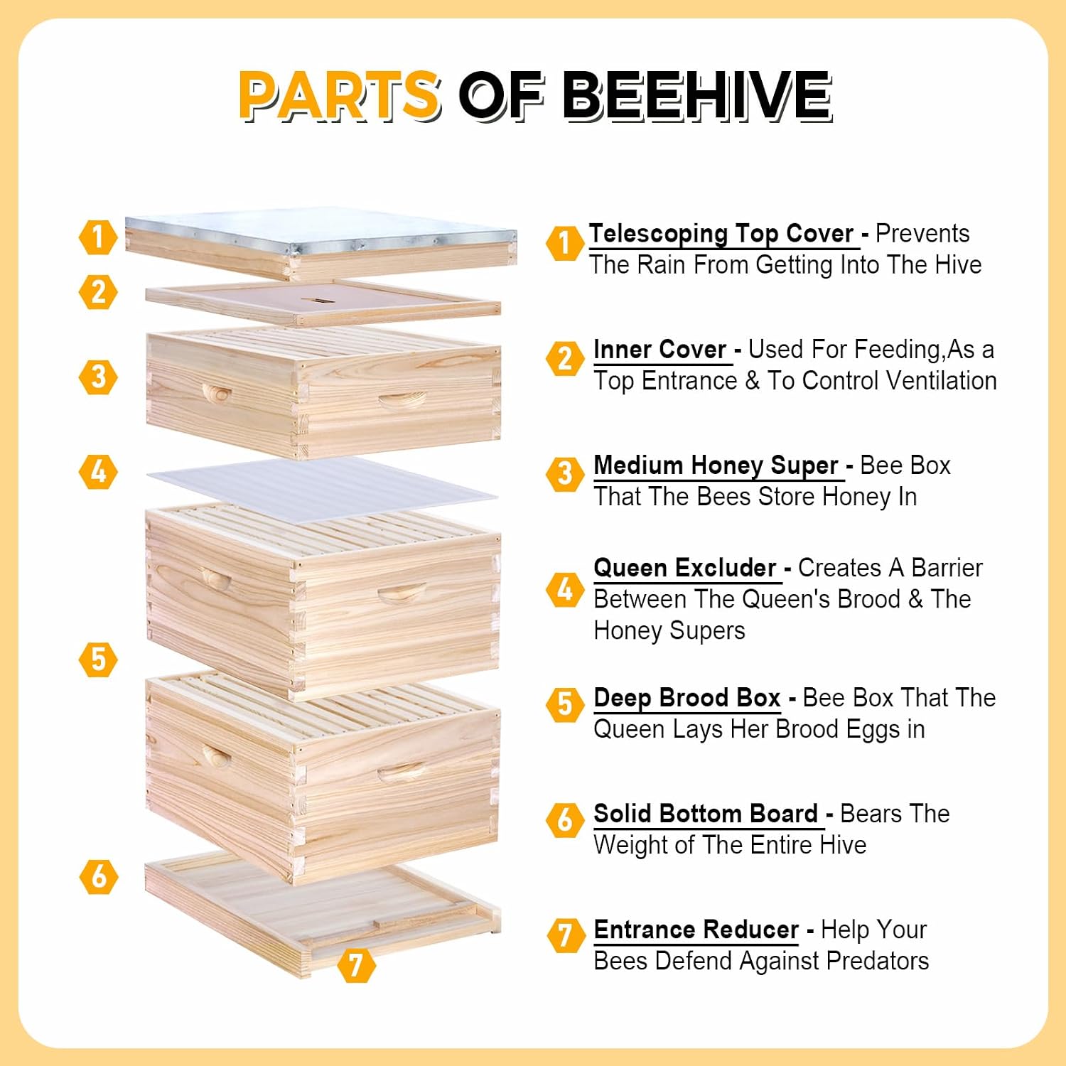 Kit Pemula Sarang Lebah Lengka - Beehive Frame Wax ulasan dan harga