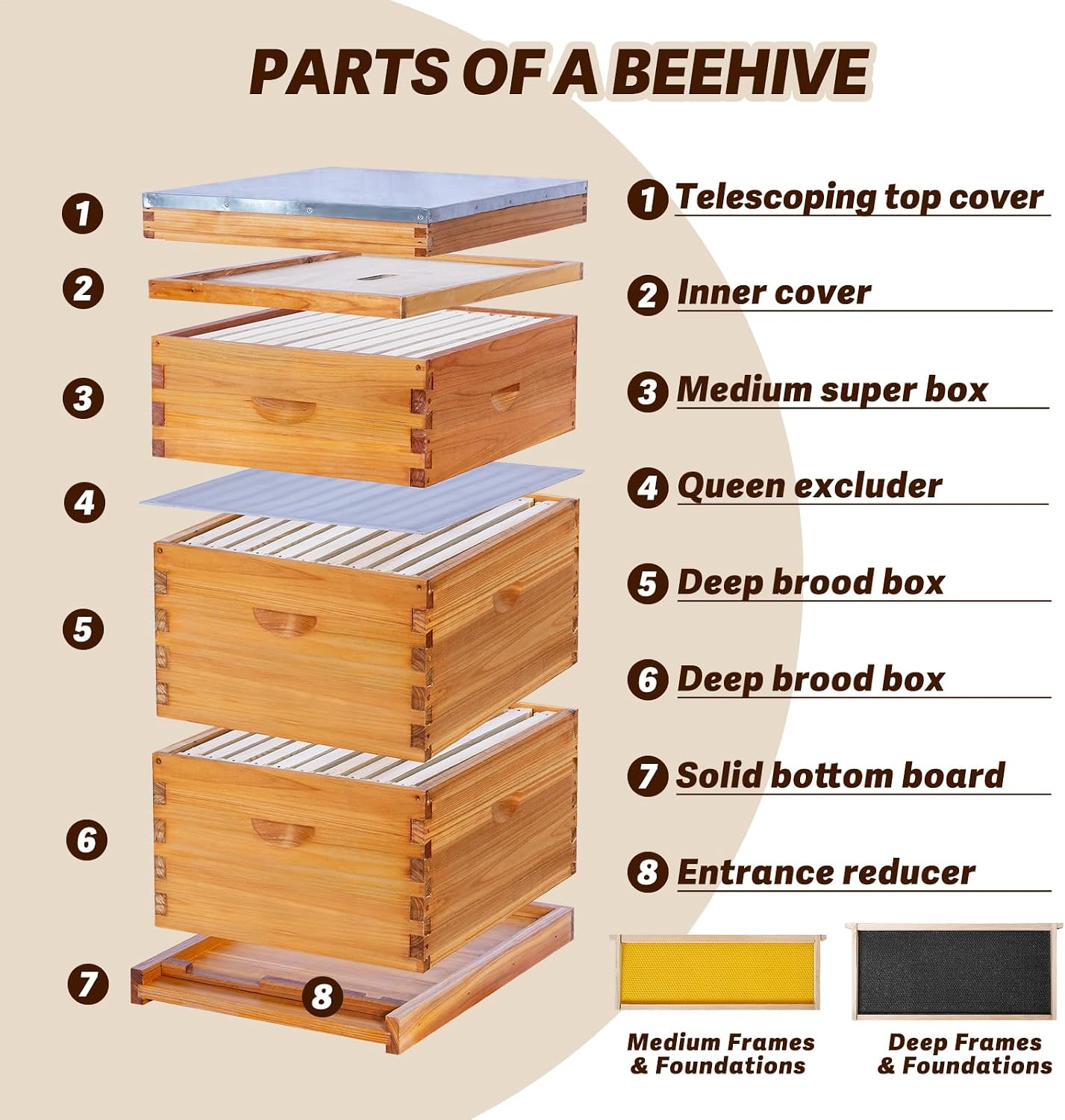 Sarang Lebah Langstroth 10 Bin - Beehive Frame Wax ulasan dan harga