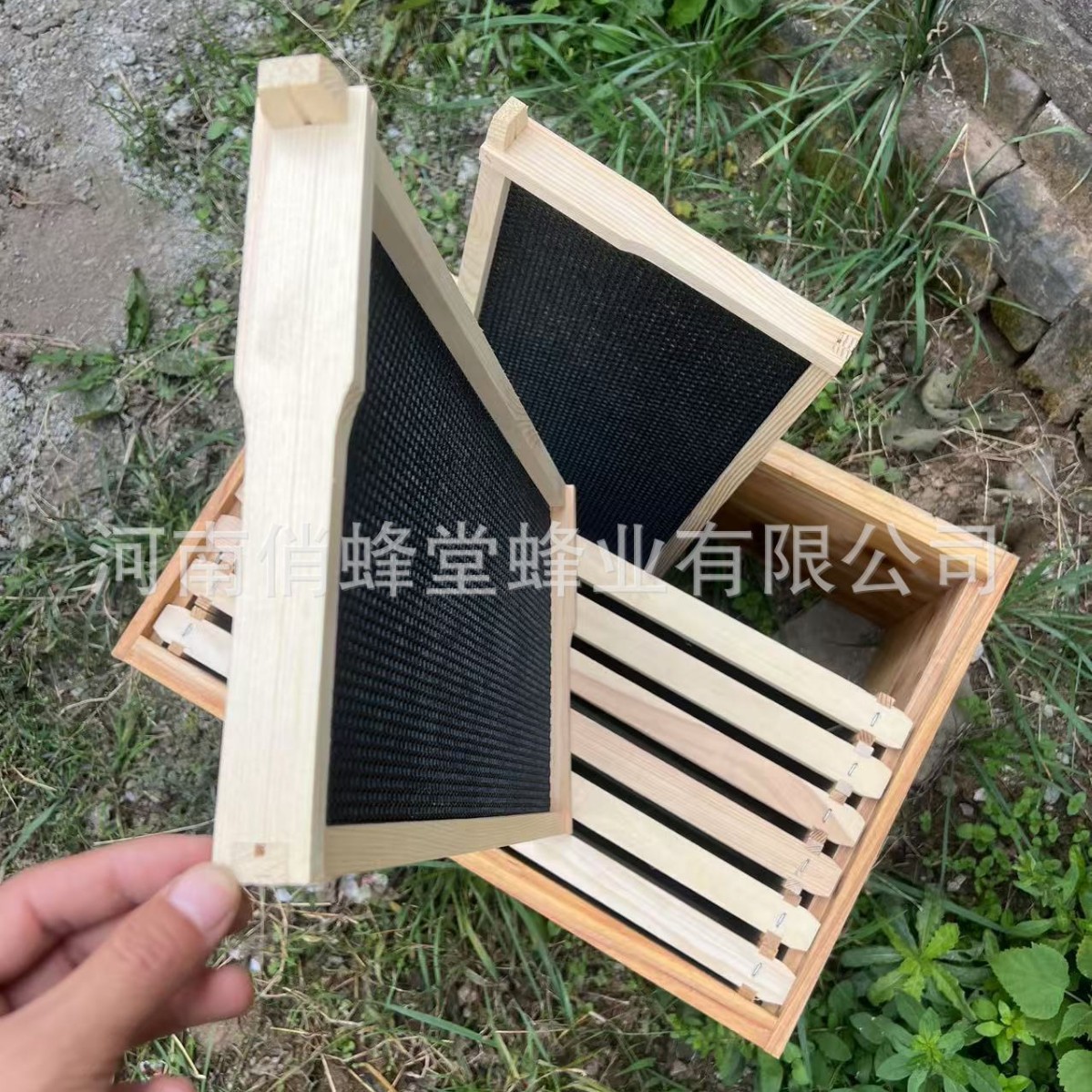 Alat Peternakan Lebah Kelas Sa - Beehive Frame Wax ulasan dan harga
