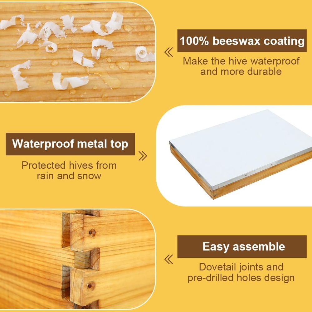 Kit Sarang Lebah 10 Bingkai de - Beehive Frame Wax ulasan dan harga