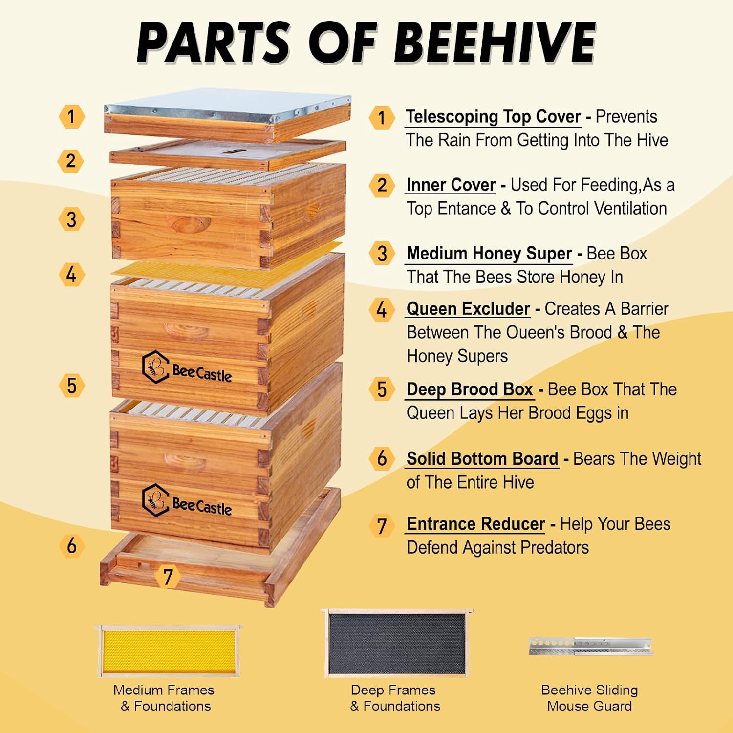 10 Bingkai Sarang Lebah Langst - Beehive Frame Wax ulasan dan harga