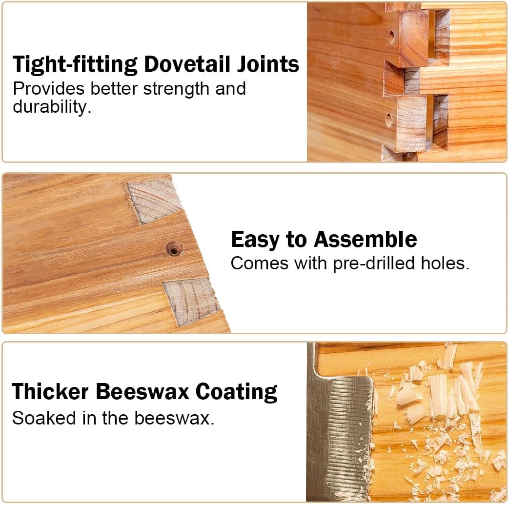 10 Bingkai Sarang Lebah Langst - Beehive Frame Wax ulasan dan harga