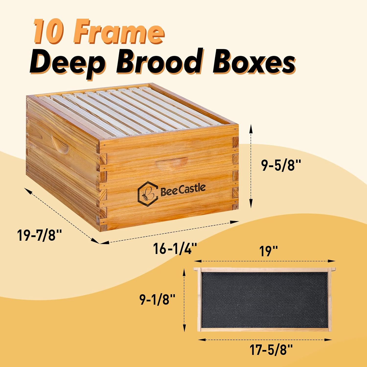 10 Bingkai Sarang Lebah Langst - Beehive Frame Wax ulasan dan harga