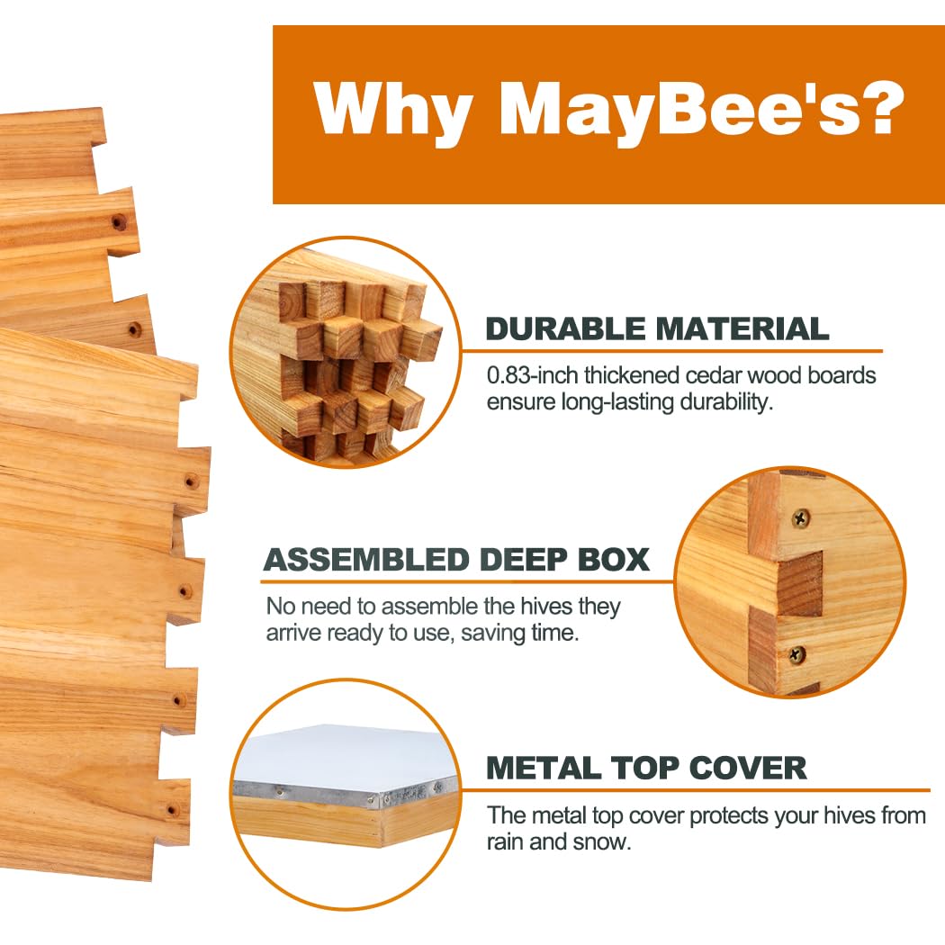 Kit Pemula Sarang Lebah 8 Bing - Beehive Frame Wax ulasan dan harga