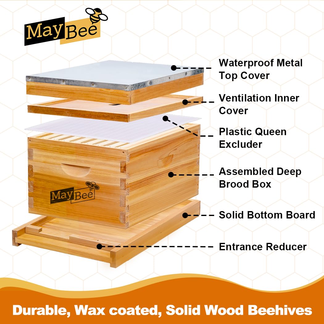 Kit Pemula Sarang Lebah 8 Bing - Beehive Frame Wax ulasan dan harga