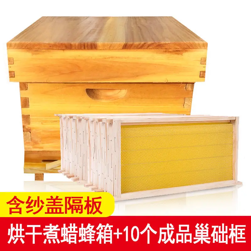 Sarang Lebah Madu dari Lilin y - Beehive Frame Wax ulasan dan harga